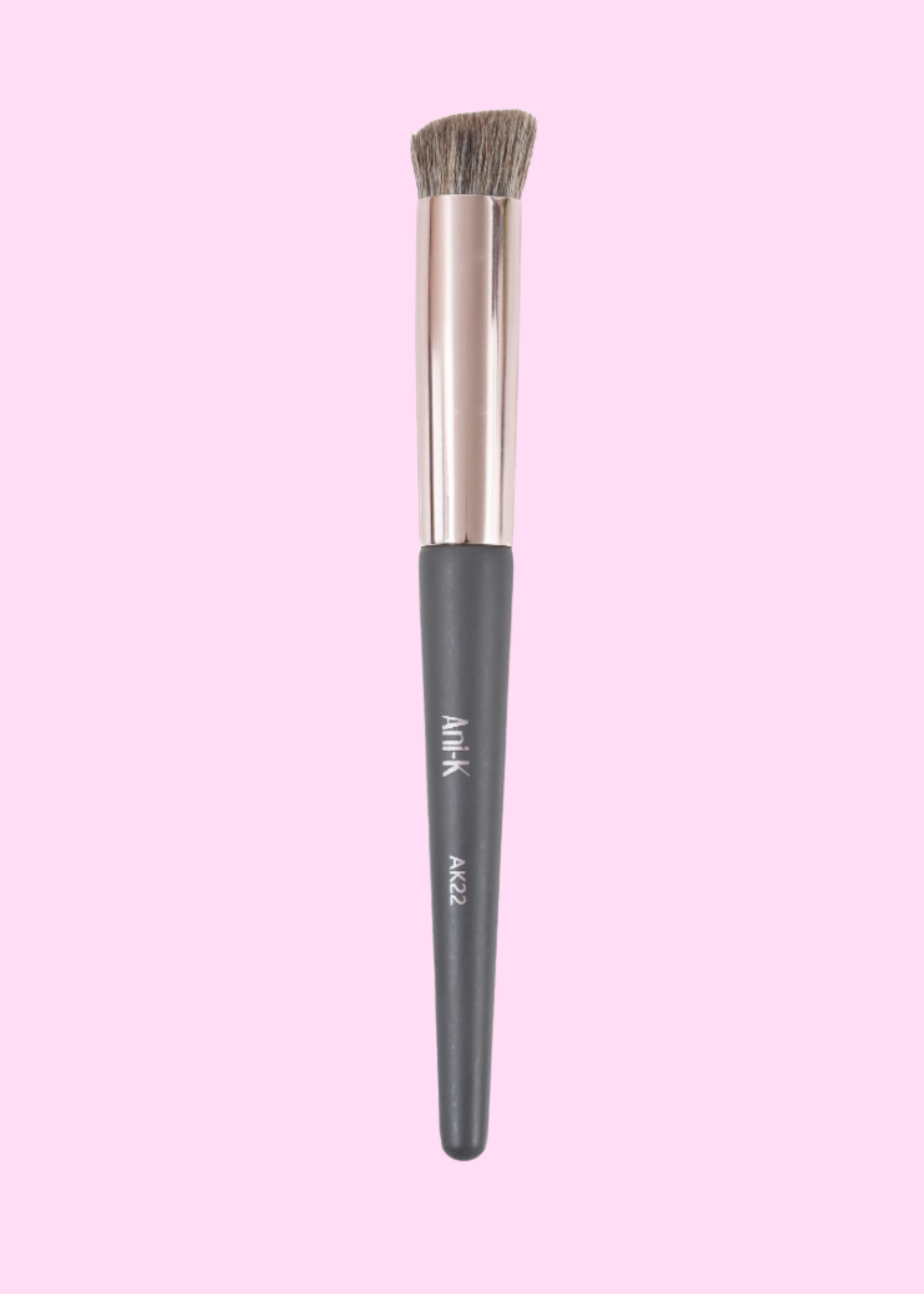 Brocha Corrector Anik AK22 Negra